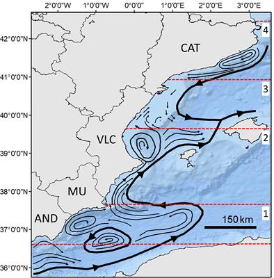 Temporal and geographical changes in the intestinal helminth fauna of striped dolphins, Stenella coeruleoalba, in the western Mediterranean: a long-term analysis (1982 - 2016)